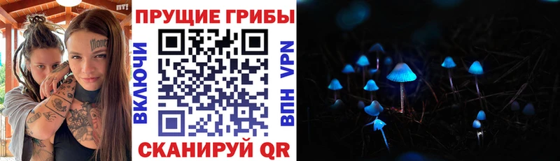 Галлюциногенные грибы прущие грибы Ворсма